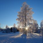 Vinterbild Julresa till Dalarna