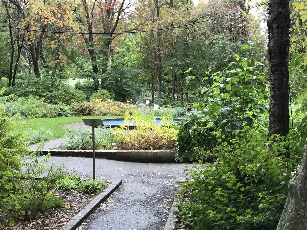 Island 2018 Botaniska trädgården Akureyri 