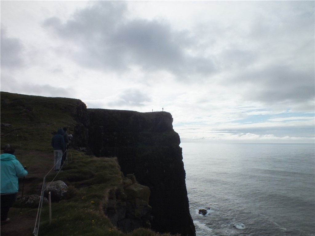 Velodromkurvor, en räv men inga puffins :(