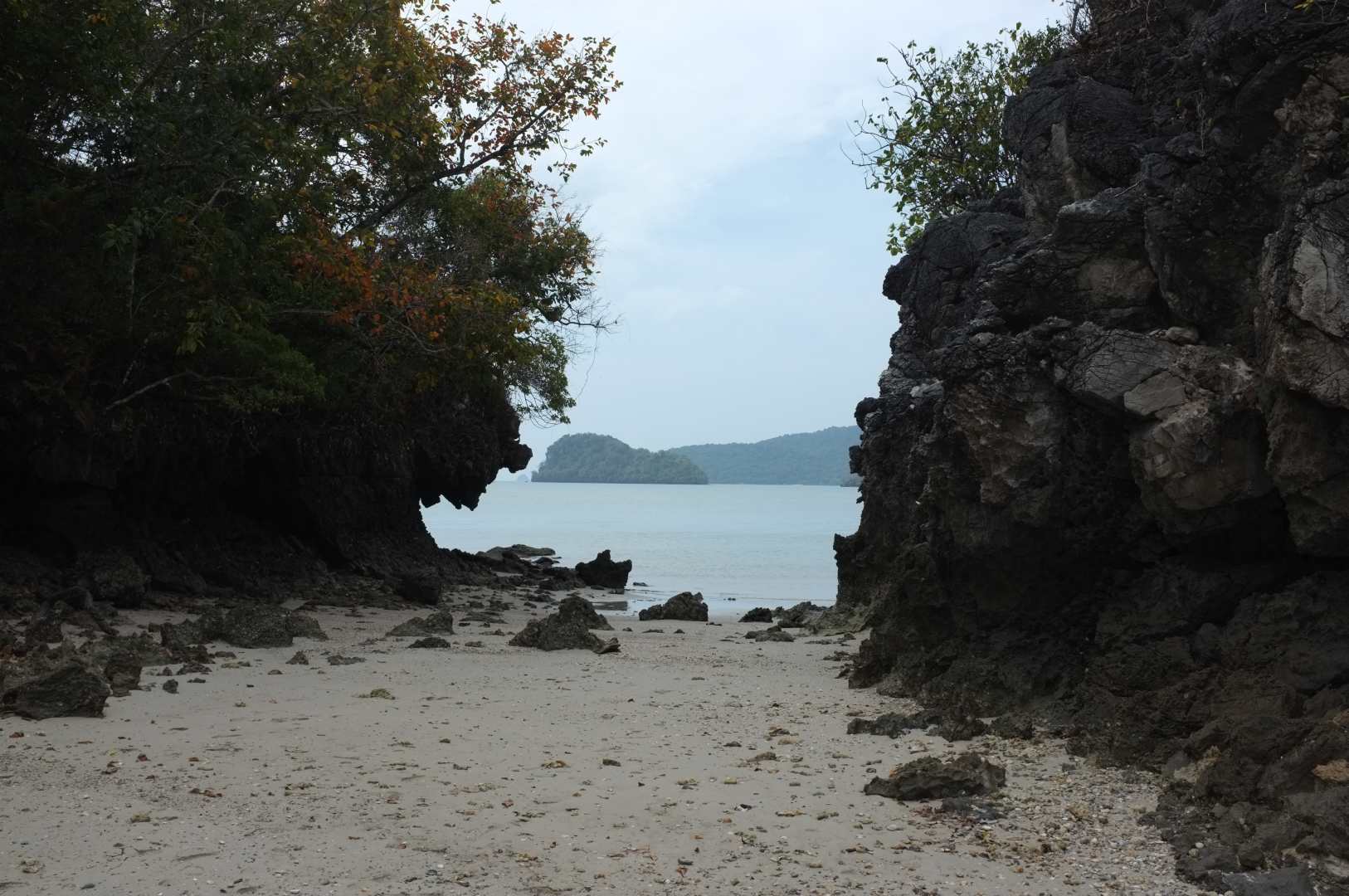 Snäckor och sjöstjärnor