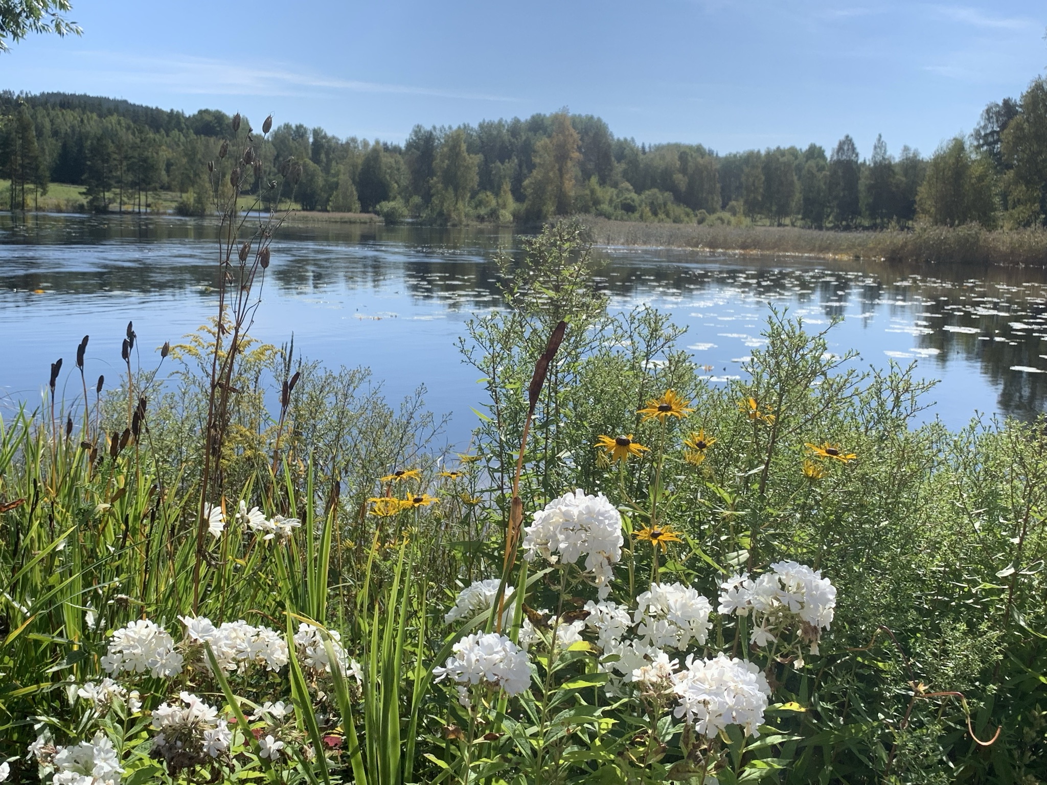 Carl Larsson-gården 2021