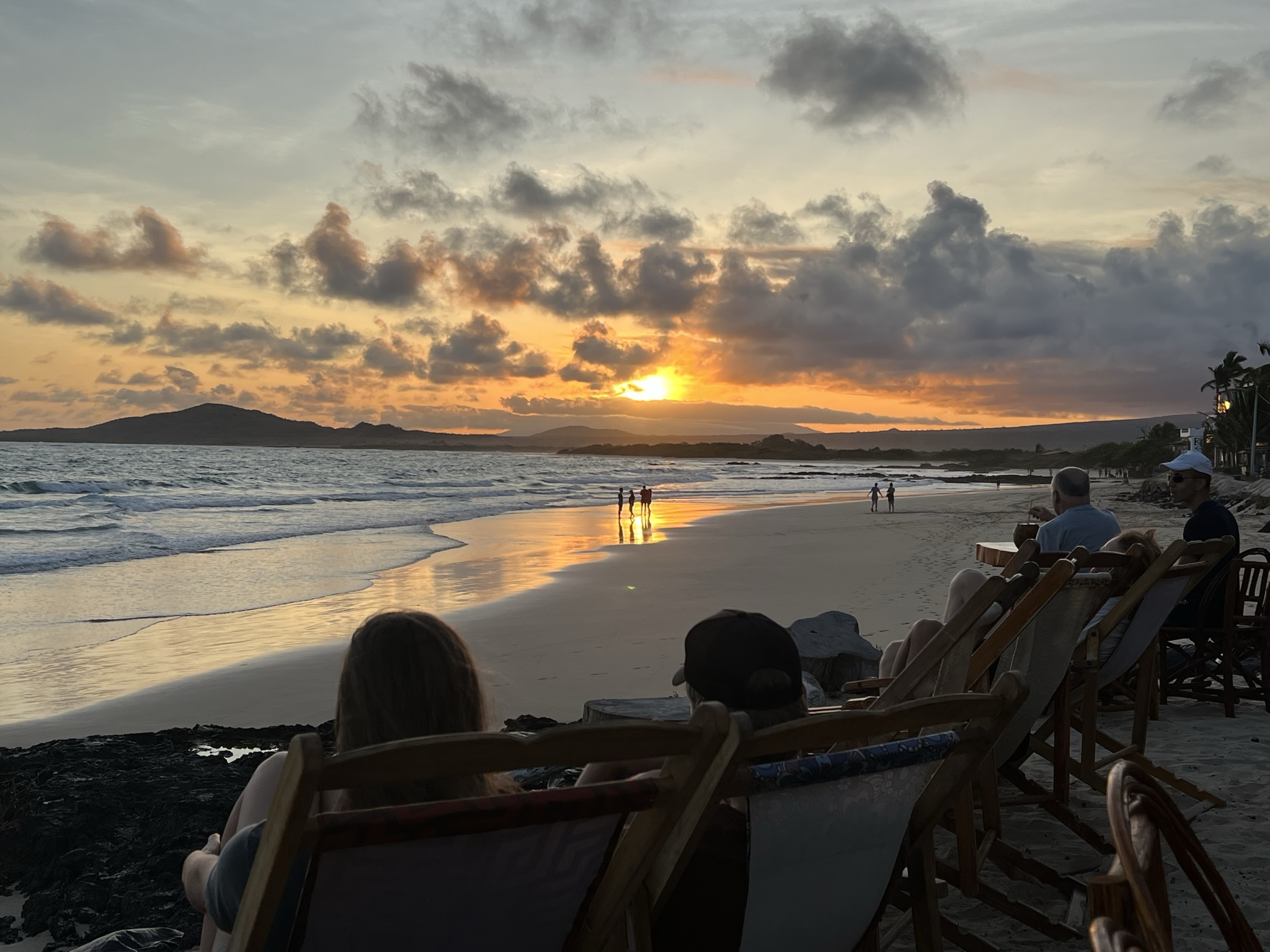 Strandbaren Isabela Galapagos