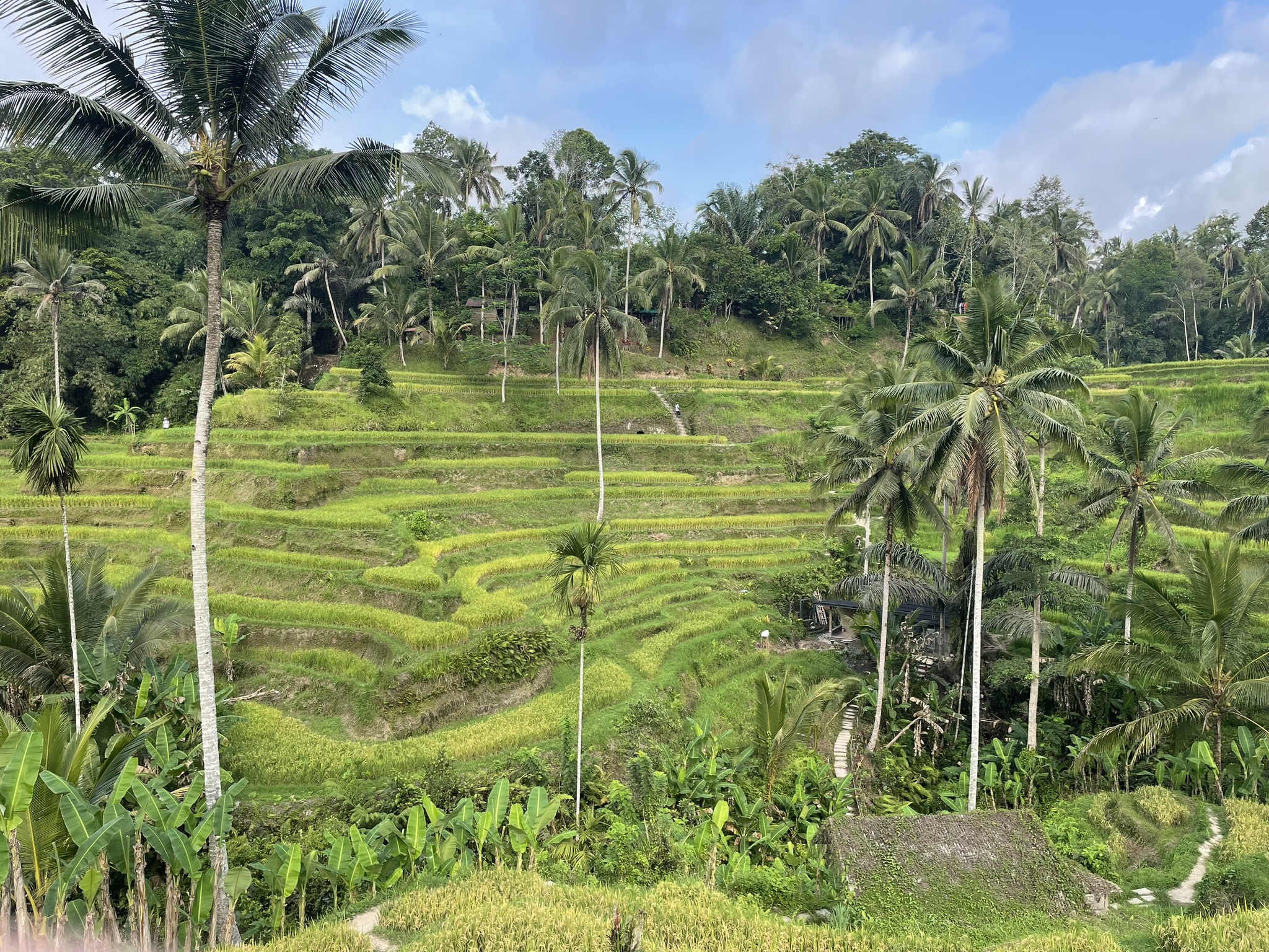Mytiska väsen, vattenfall och gott kaffe
