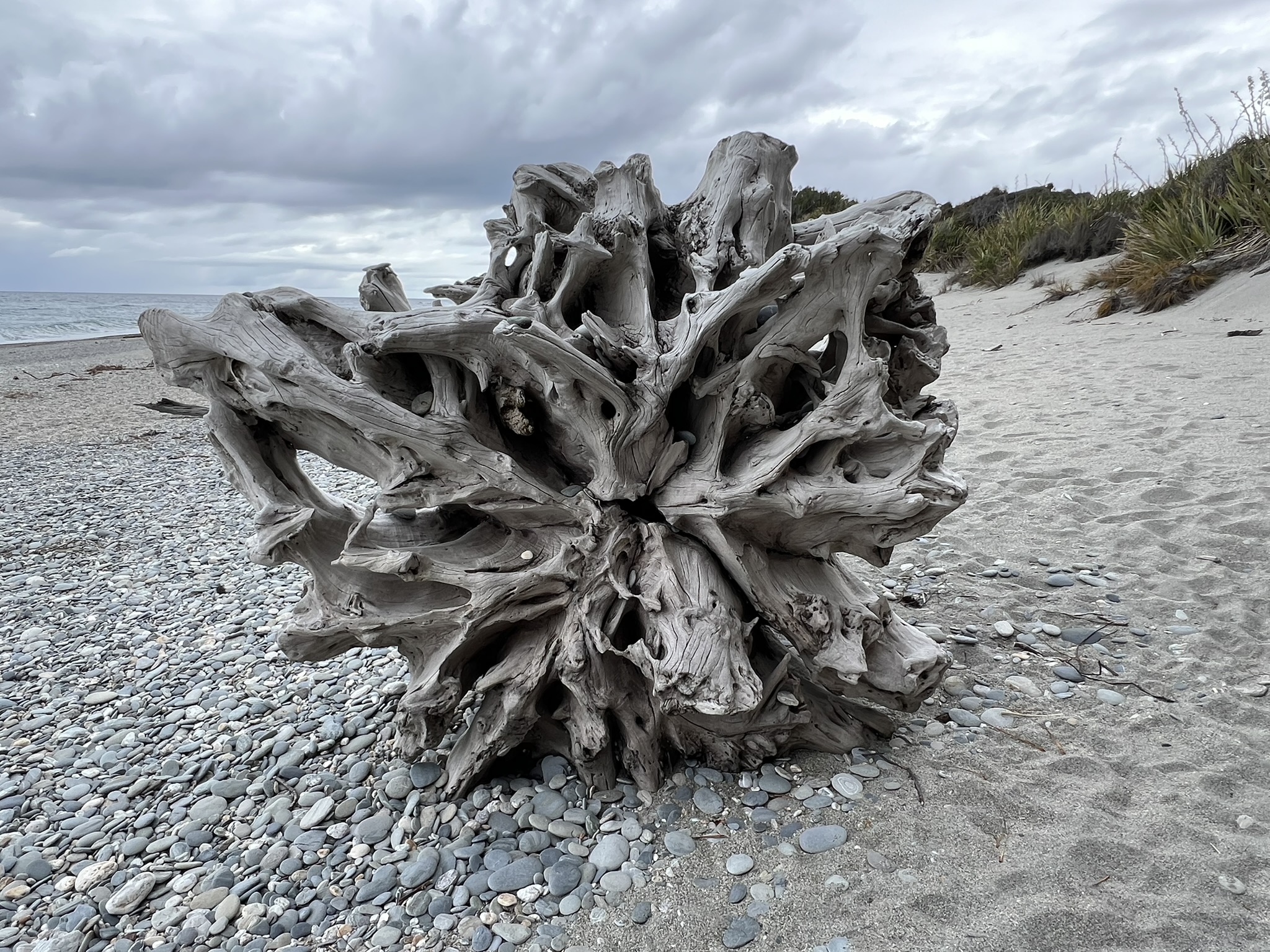 Nya Zeeland Ship Creek Walks