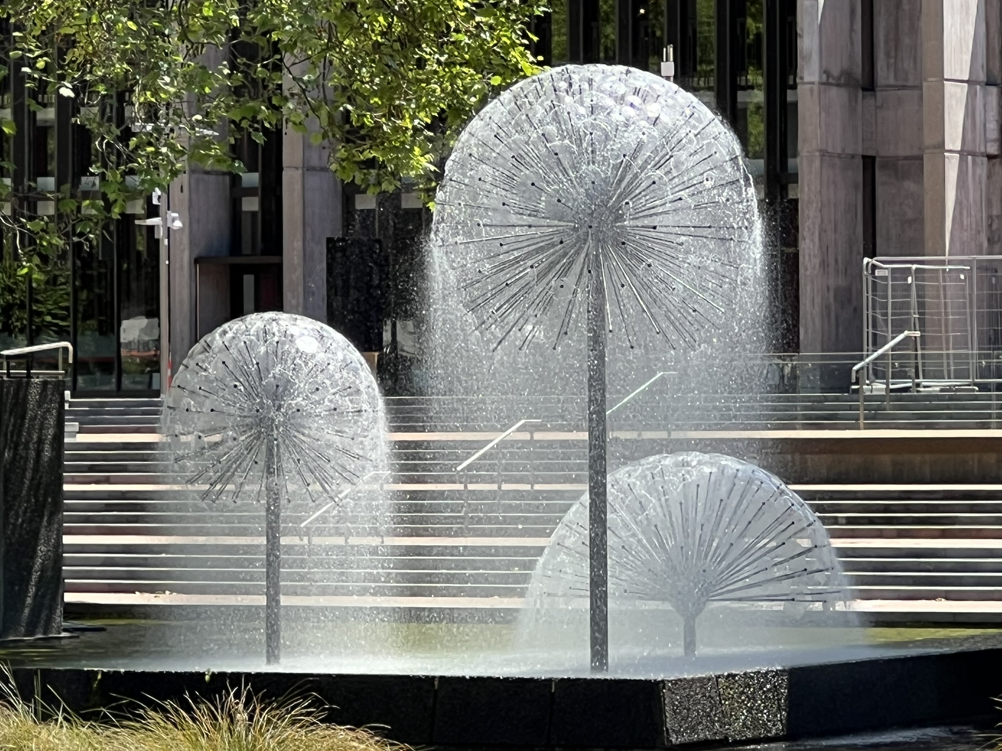 Kontraster, avsked och starka känslor