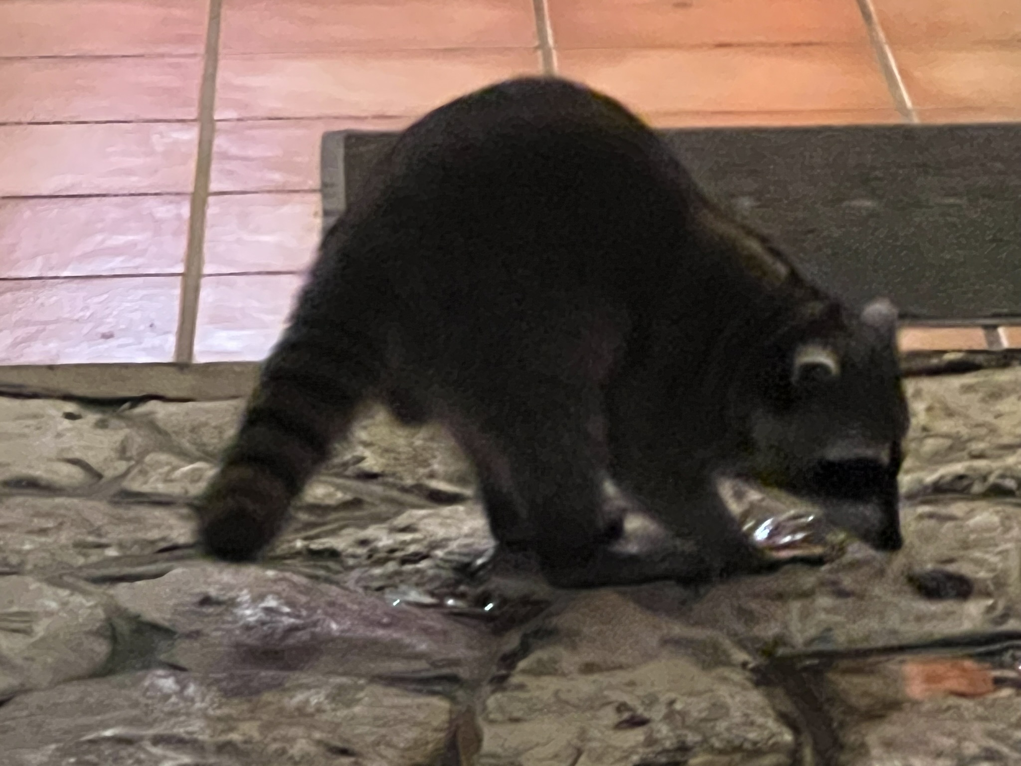 Mexiko Playa del Carmen