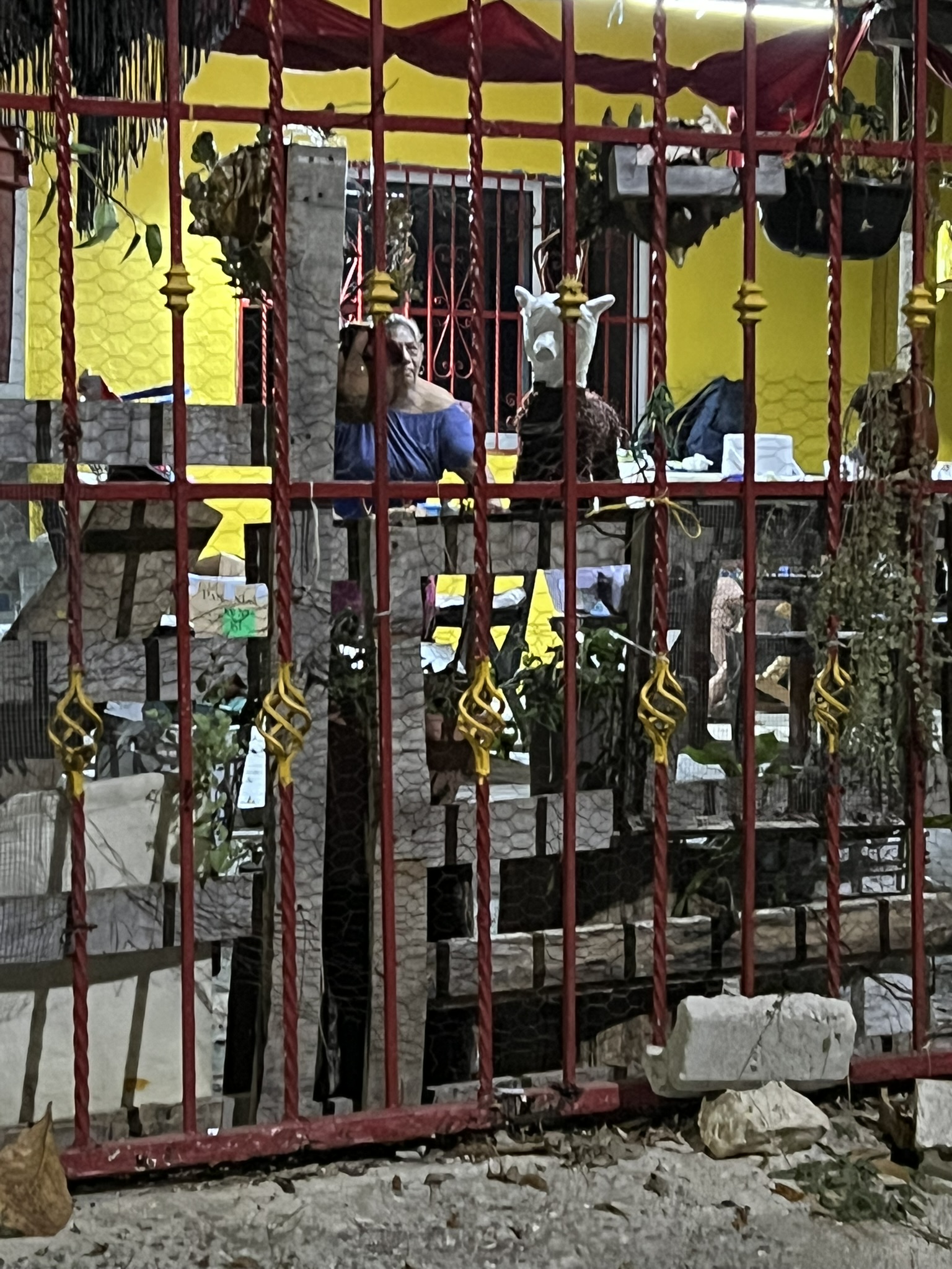 Mexico Playa del carmen