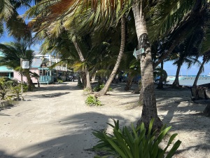 Belize Caye Caulker